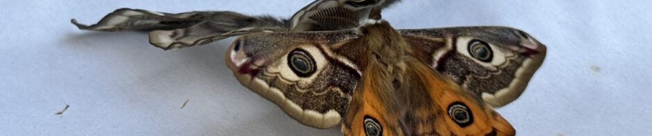 KURRE.DE – Klaus Kurre