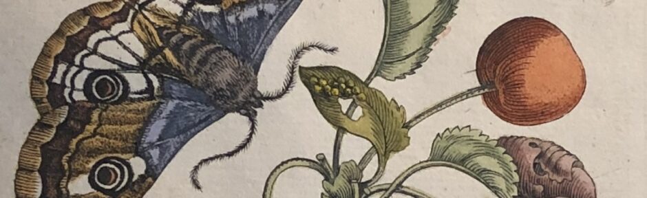 KURRE.DE – Klaus Kurre